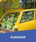 Autoinhaltsversicherung