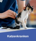 Katzenkrankenversicherung