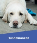 Hundekrankenversicherung