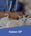 Katzen OP-Versicherung