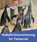 Haftpflichtversicherung für Tierberufe