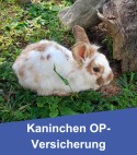 Kaninchen OP-Versicherung