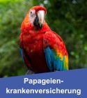 Papageienkrankenversicherung