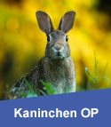 Kaninchen-OP-Versicherung